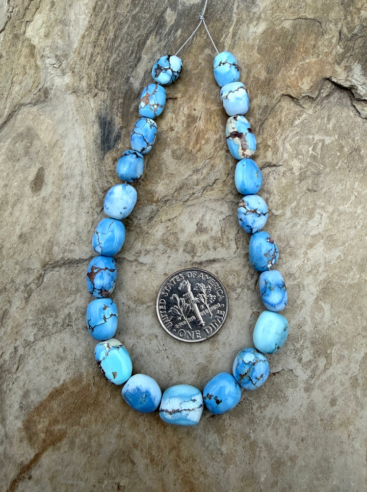 RARE AA+ Golden Hills Turquoise (Kazakhstan) Large Rounded