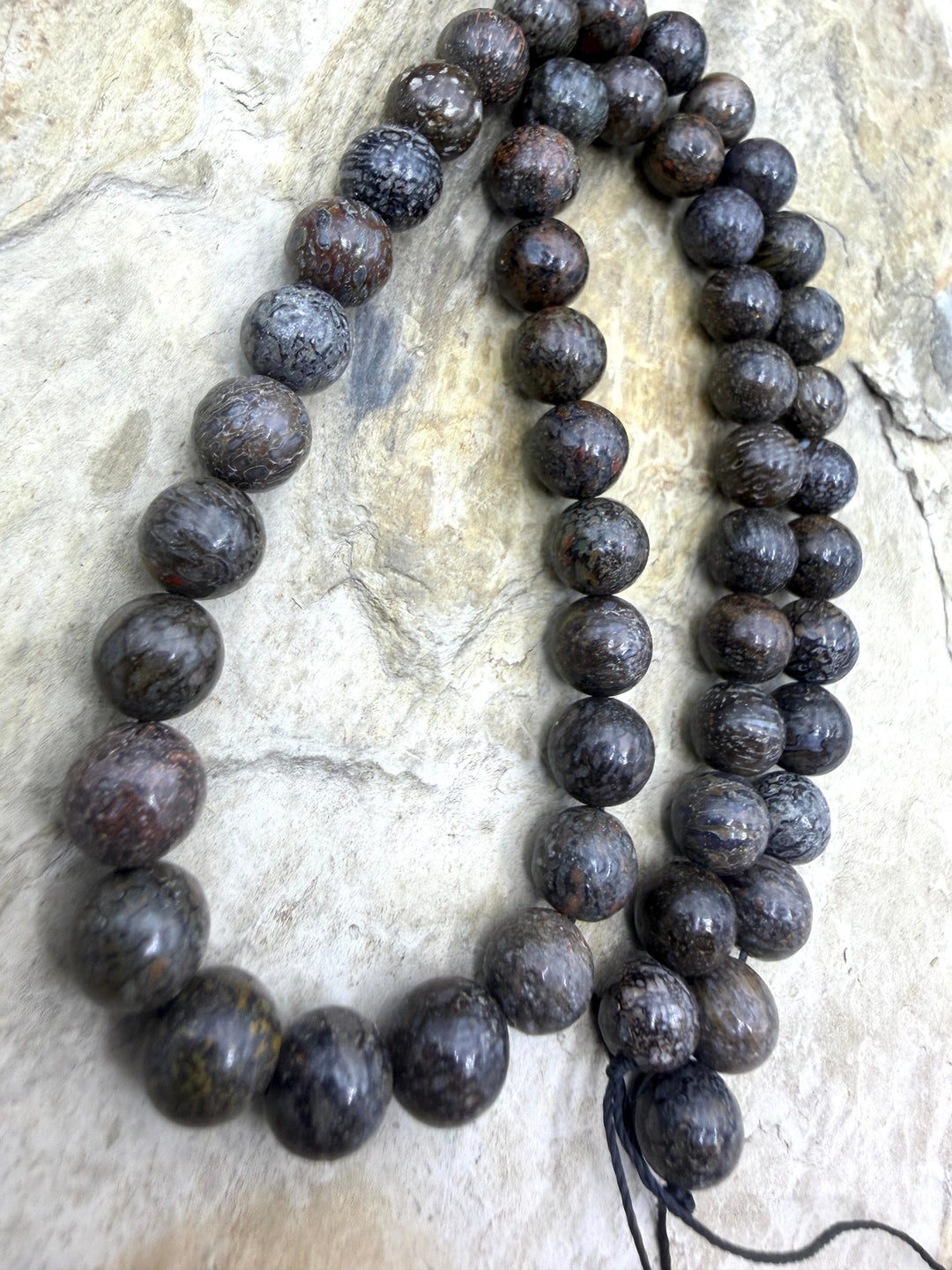 RARE AA+ High Pattern Utah Dinosaur Bone 8mm Round Beads 16