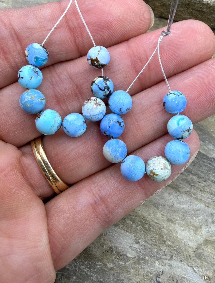 RARE AAA+ Golden Hills Turquoise (Kazakhstan) Graduated