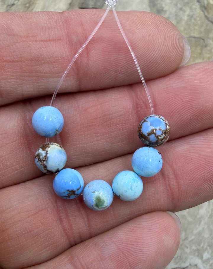 RARE AAA+ Golden Hills Turquoise (Kazakhstan) Graduated