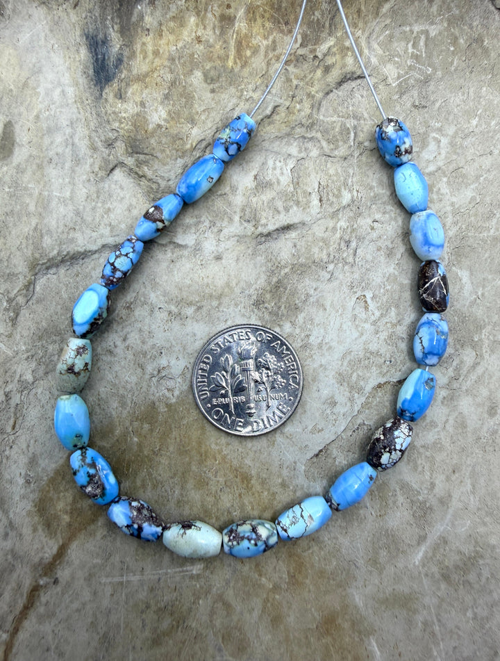 RARE AAA+ Golden Hills Turquoise (Kazakhstan) Handcut Rice