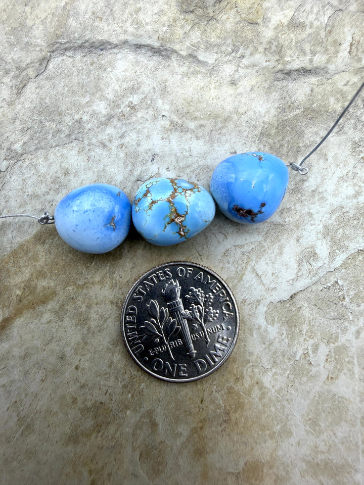 RARE AAA+ Golden Hills Turquoise (Kazakhstan) Large Rounded