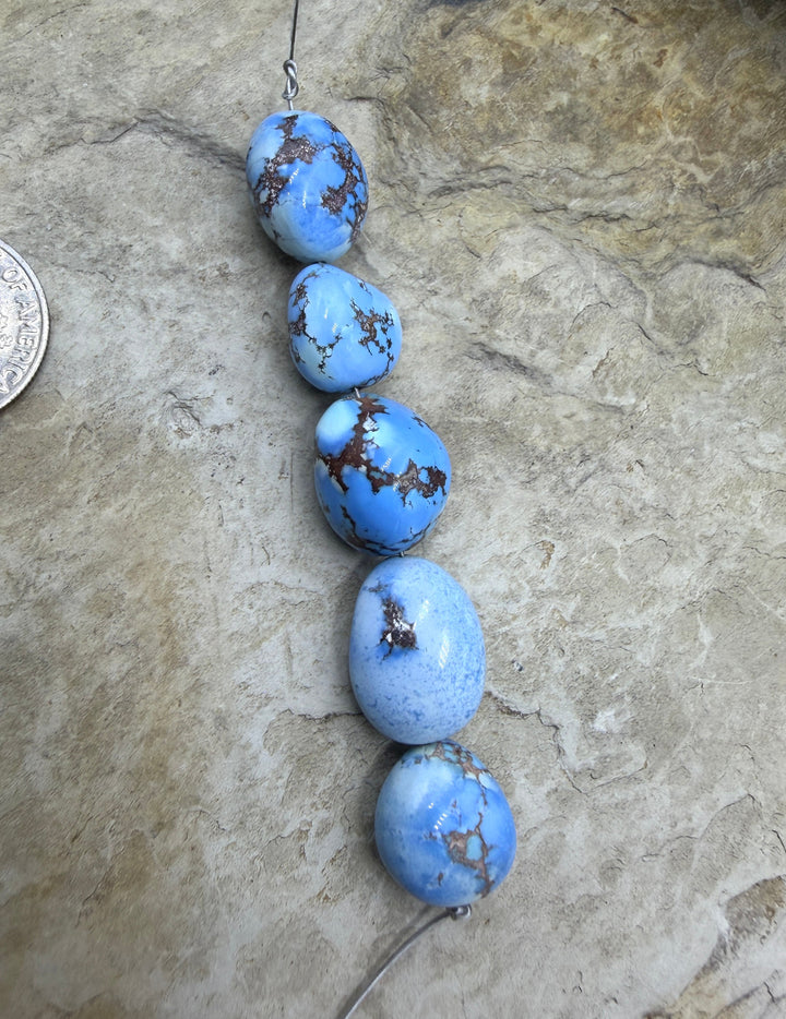 RARE AAA+ Golden Hills Turquoise (Kazakhstan) Large Rounded