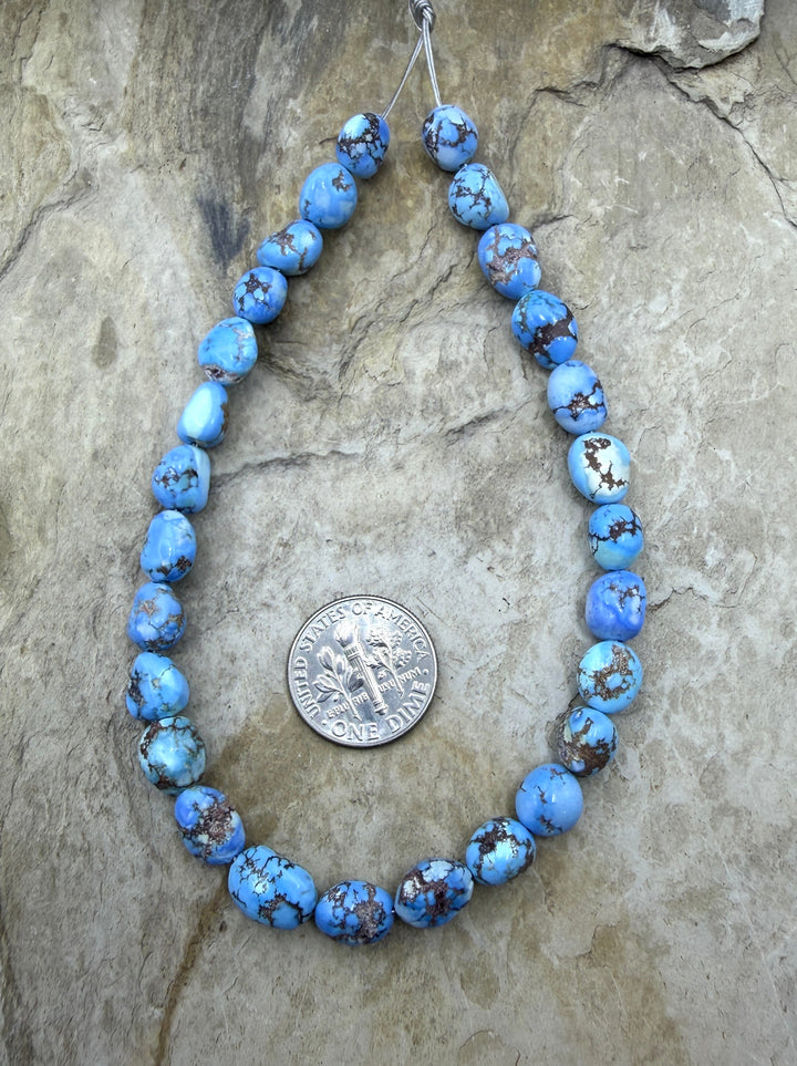 RARE AAA+ Golden Hills Turquoise (Kazakhstan) Large Rounded