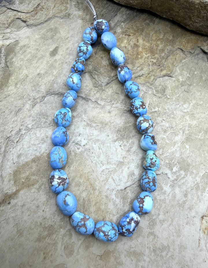 RARE AAA+ Golden Hills Turquoise (Kazakhstan) Large Rounded