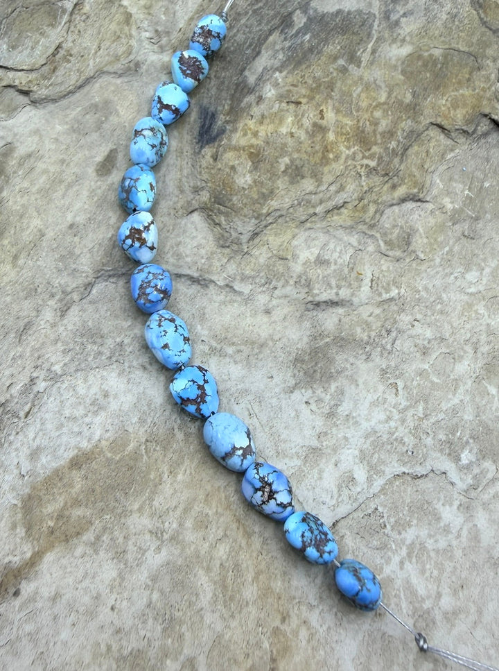 RARE AAA+ Golden Hills Turquoise (Kazakhstan) Large Rounded