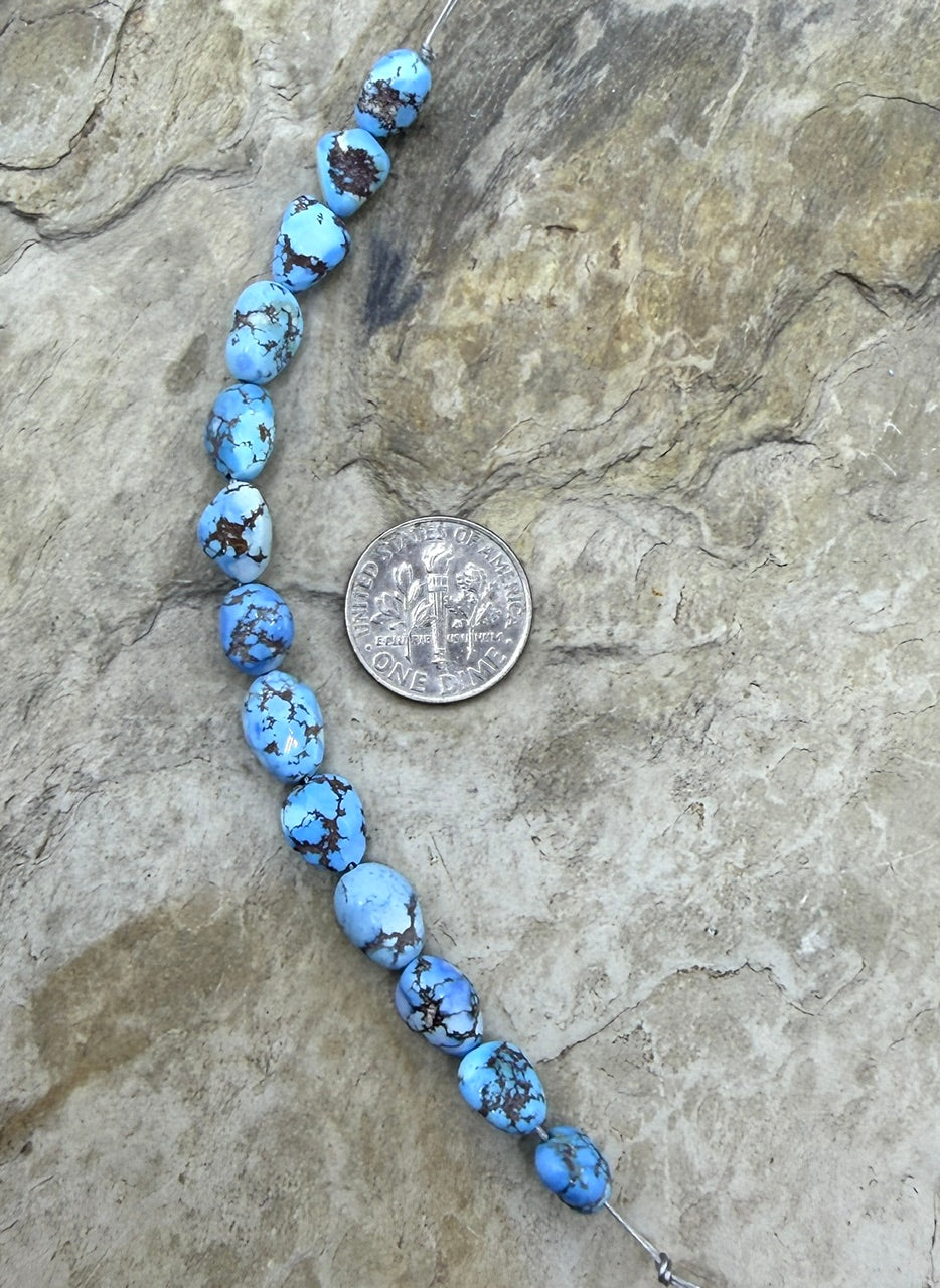 RARE AAA+ Golden Hills Turquoise (Kazakhstan) Large Rounded