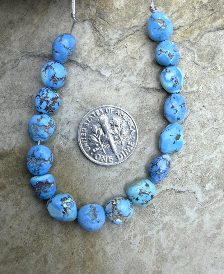 RARE AAA+ Golden Hills Turquoise (Kazakhstan) Large Rounded