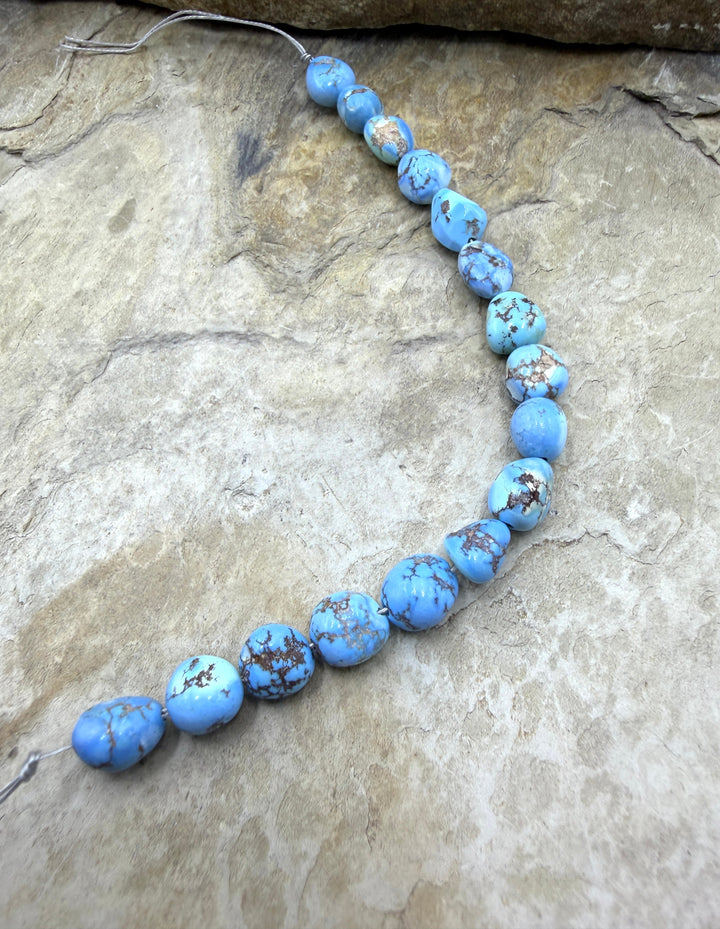 RARE AAA+ Golden Hills Turquoise (Kazakhstan) Large Rounded