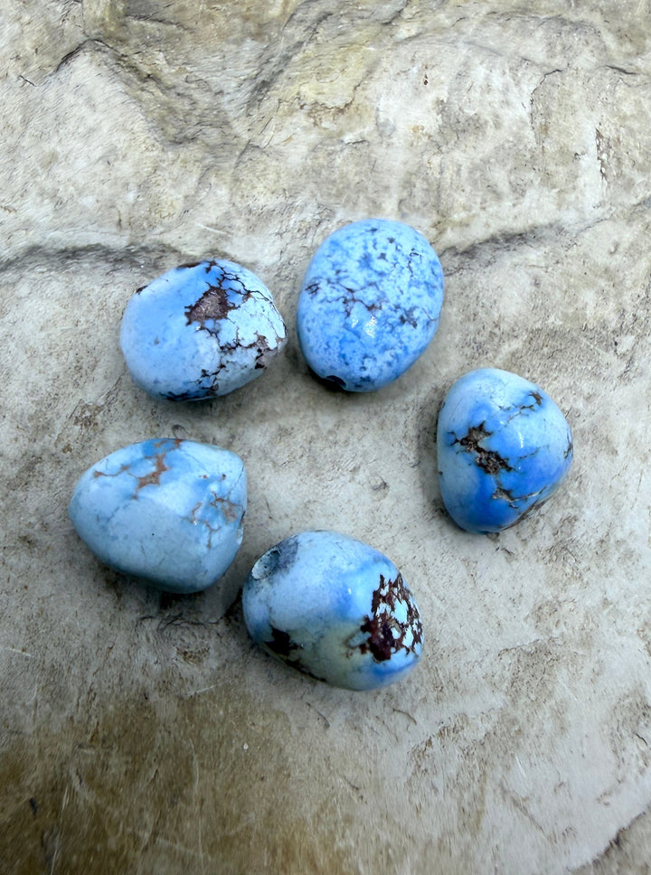 RARE AAA+ Golden Hills Turquoise (Kazakhstan) Large Rounded