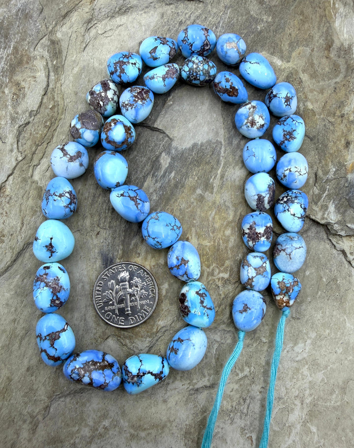 RARE AAA+ Golden Hills Turquoise (Kazakhstan) Large Rounded