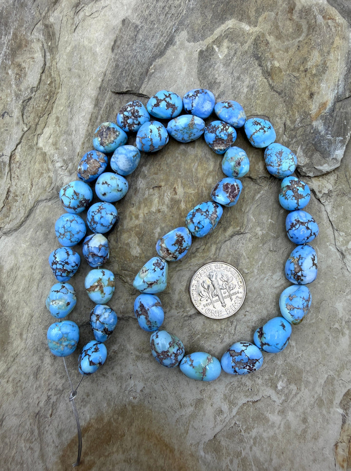 RARE AAA+ Golden Hills Turquoise (Kazakhstan) Large Rounded