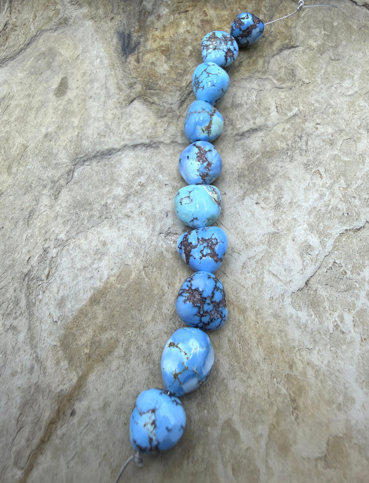 RARE AAA+ Golden Hills Turquoise (Kazakhstan) Large Rounded