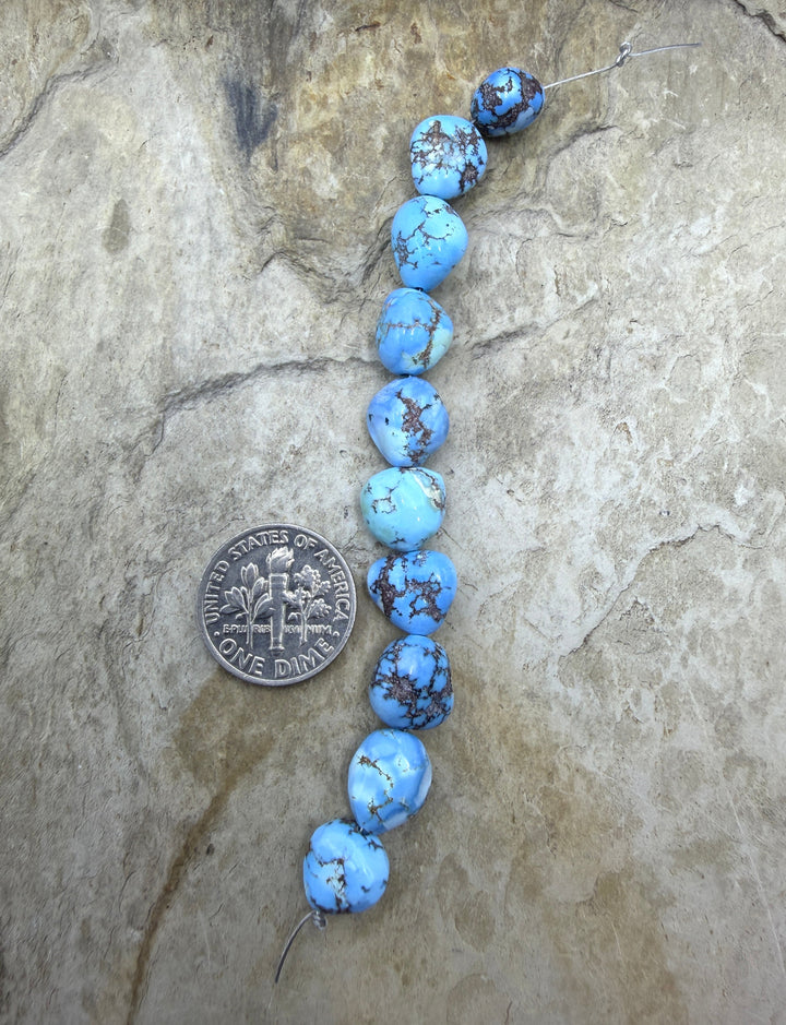 RARE AAA+ Golden Hills Turquoise (Kazakhstan) Large Rounded
