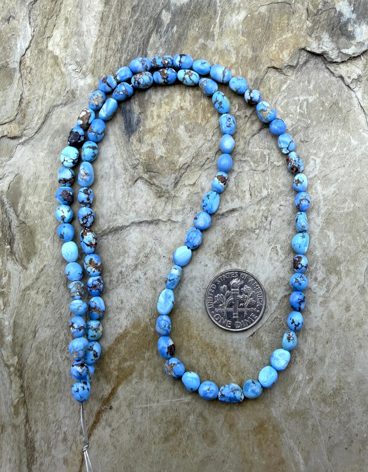 RARE AAA+ Golden Hills Turquoise (Kazakhstan) Rounded