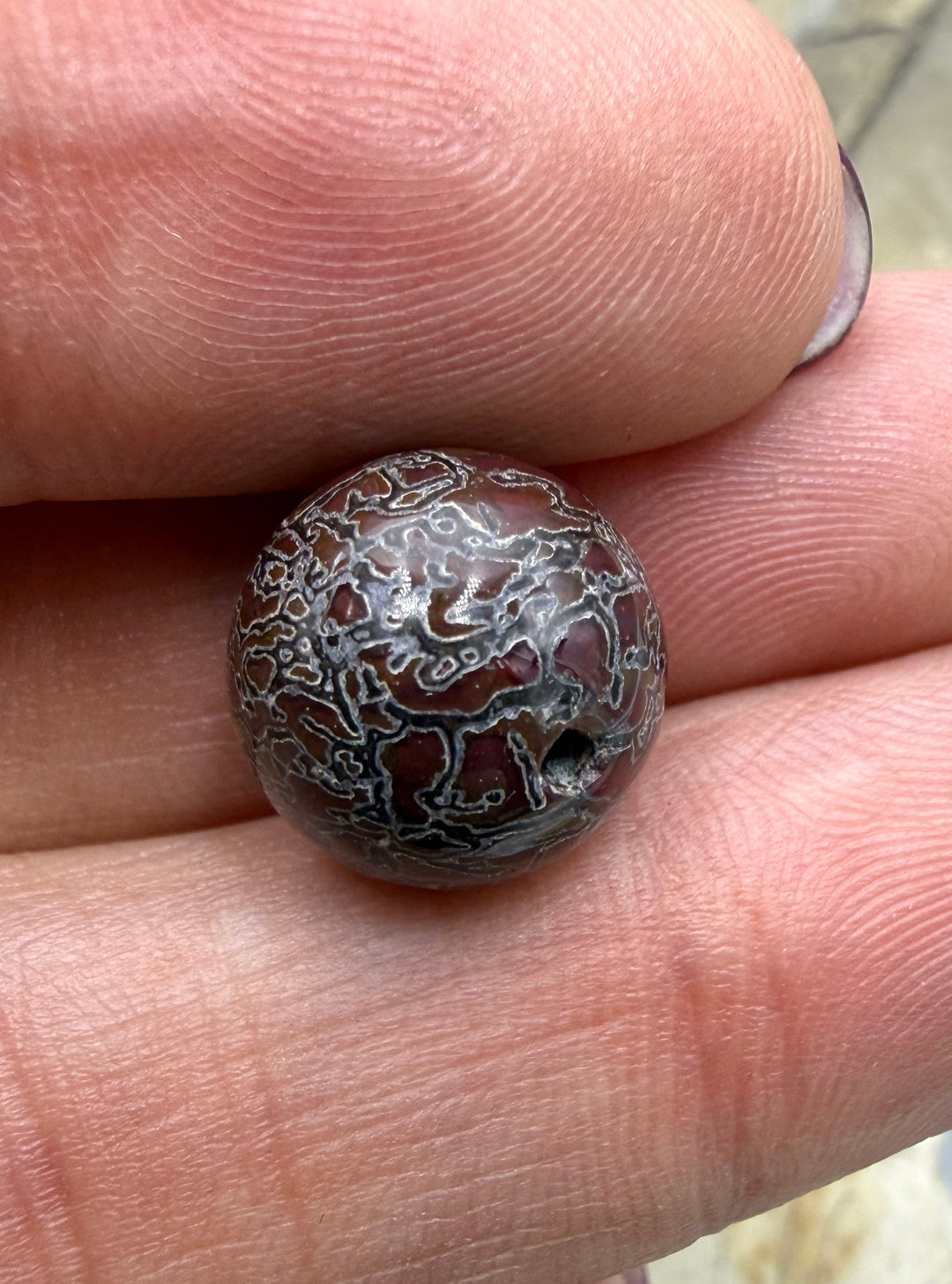RARE AAA+ High Pattern Utah Dinosaur Bone 12mm Round Bead