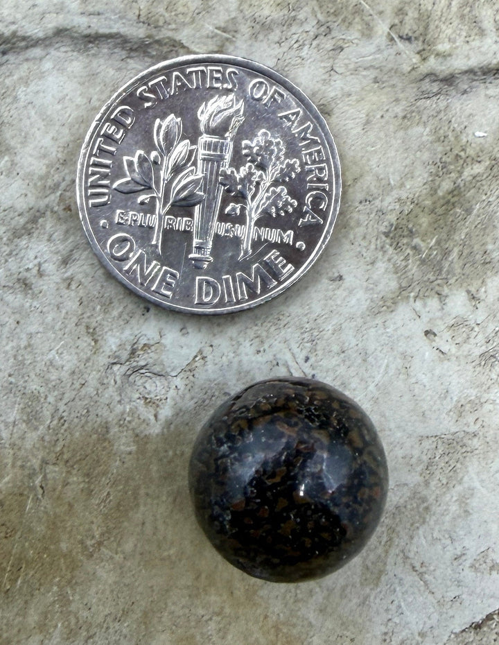 RARE AAA+ High Pattern Utah Dinosaur Bone 12mm Round Bead