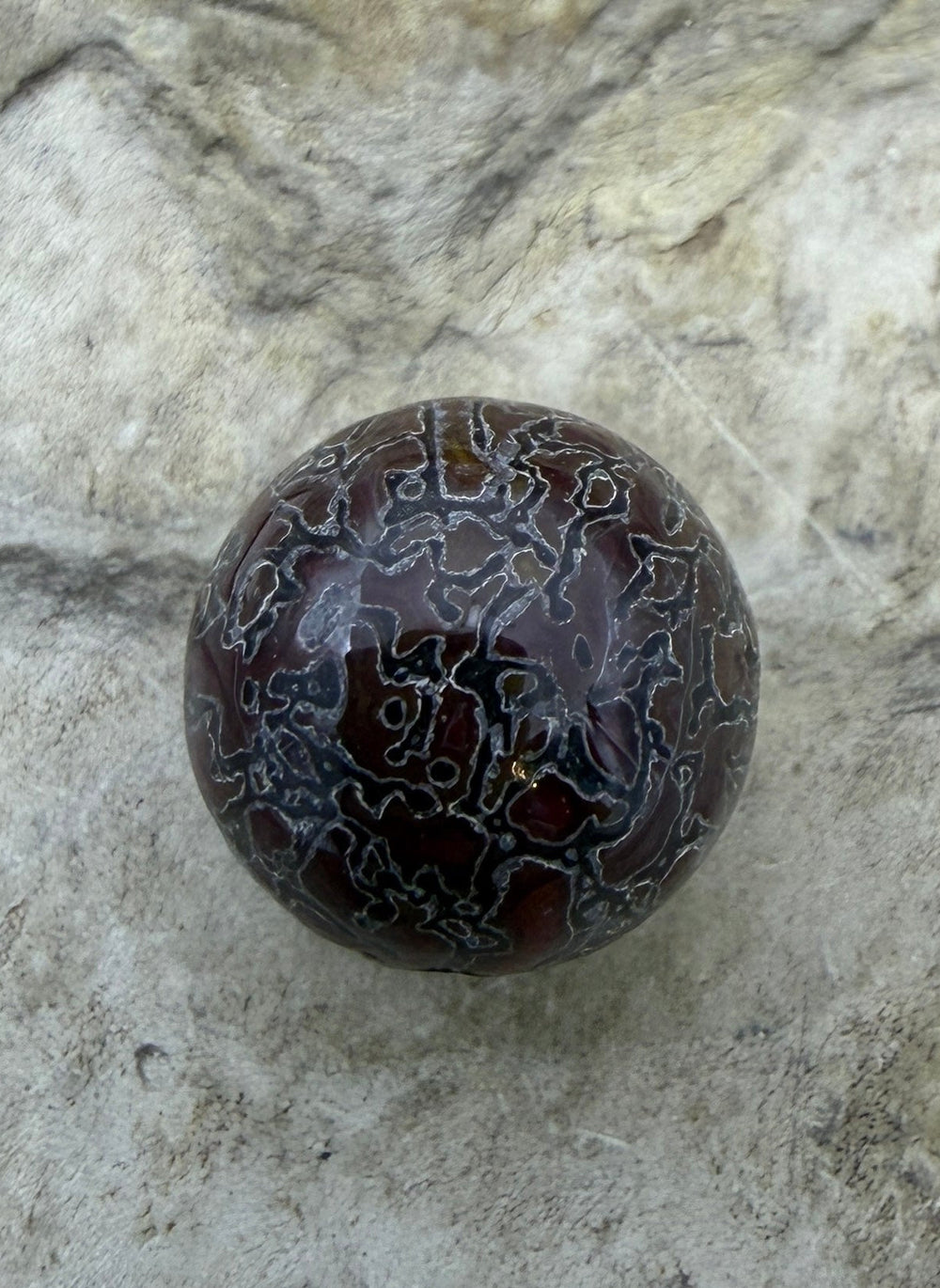 RARE AAA+ High Pattern Utah Dinosaur Bone 12mm Round Bead