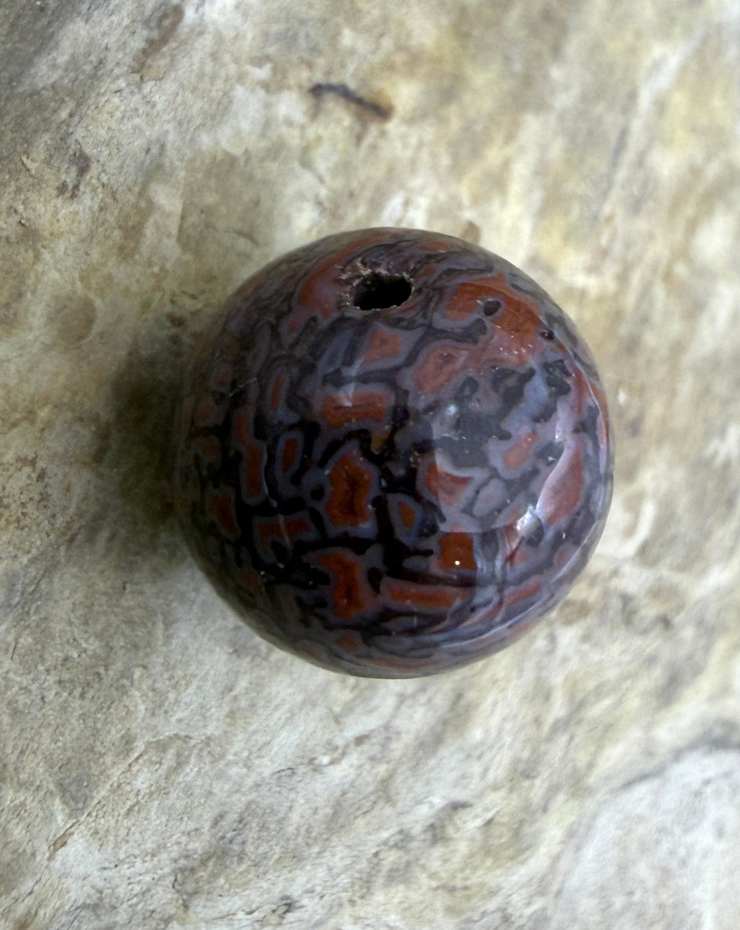 RARE AAA+ High Pattern Utah Dinosaur Bone 12mm Round Bead