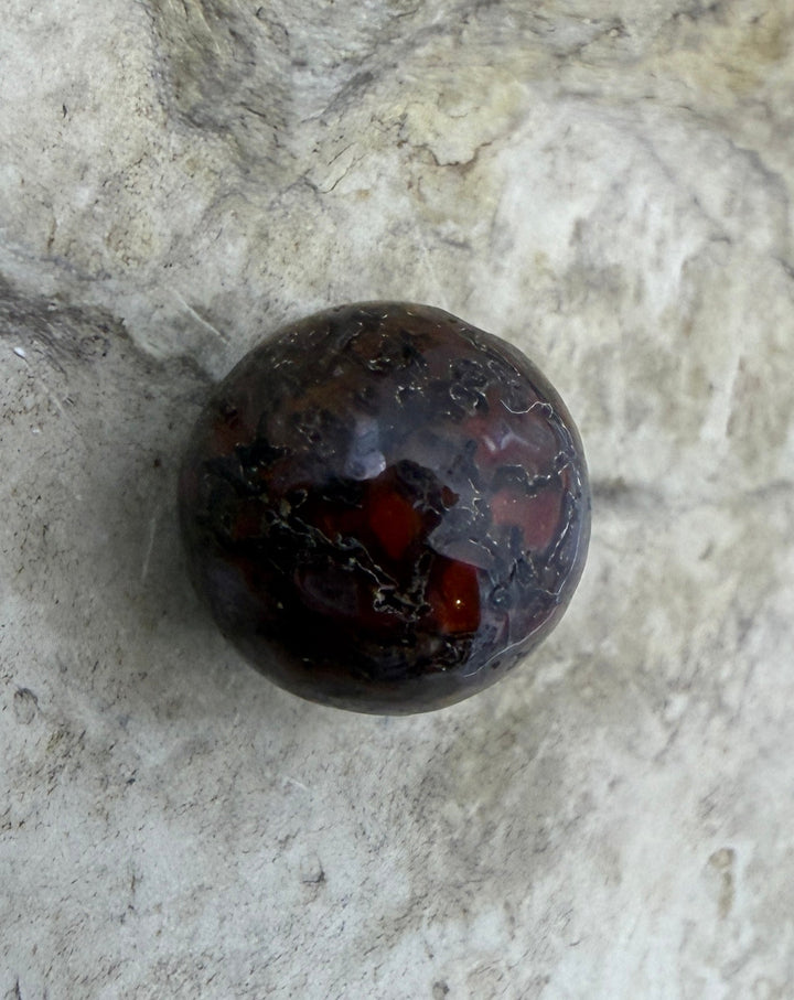 RARE AAA+ High Pattern Utah Dinosaur Bone 12mm Round Bead