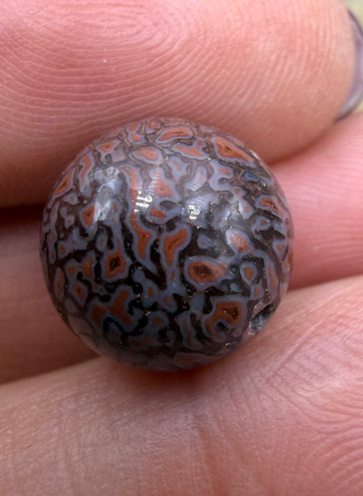 RARE AAA+ High Pattern Utah Dinosaur Bone 12mm Round Bead