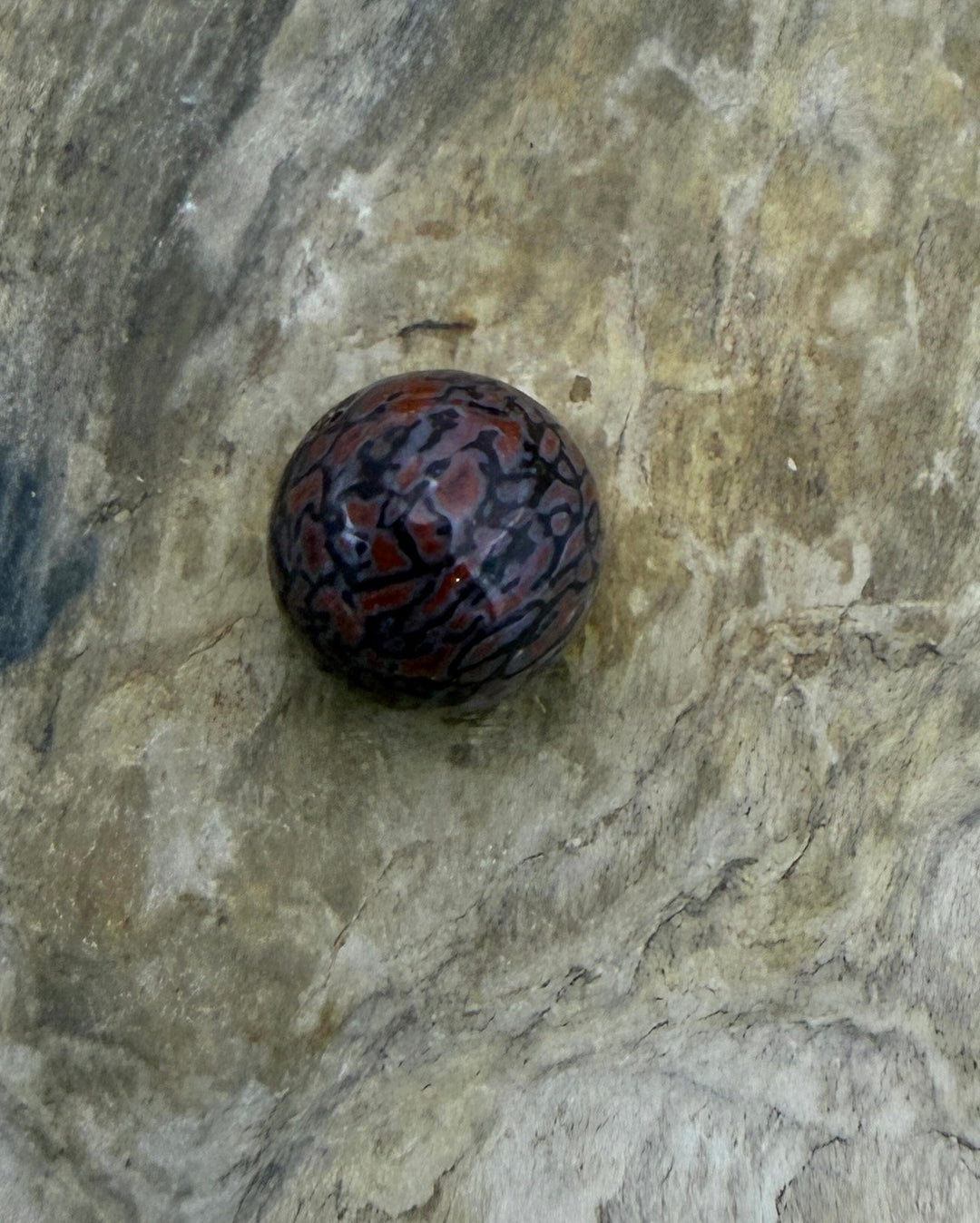 RARE AAA+ High Pattern Utah Dinosaur Bone 12mm Round Bead