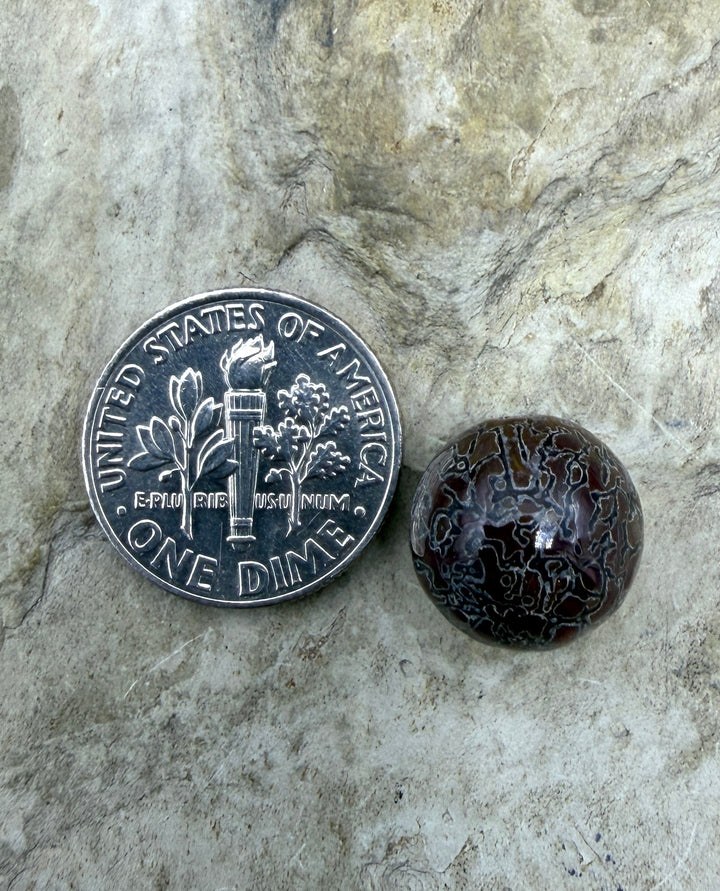 RARE AAA+ High Pattern Utah Dinosaur Bone 12mm Round Bead