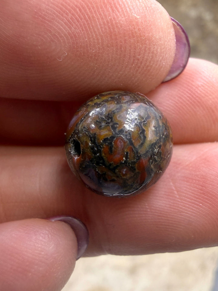 RARE AAA+ High Pattern Utah Dinosaur Bone 12mm Round Bead