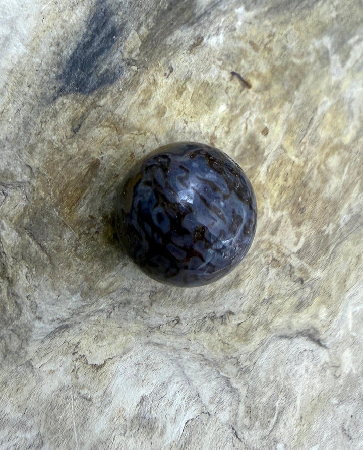 RARE AAA+ High Pattern Utah Dinosaur Bone 12mm Round Bead