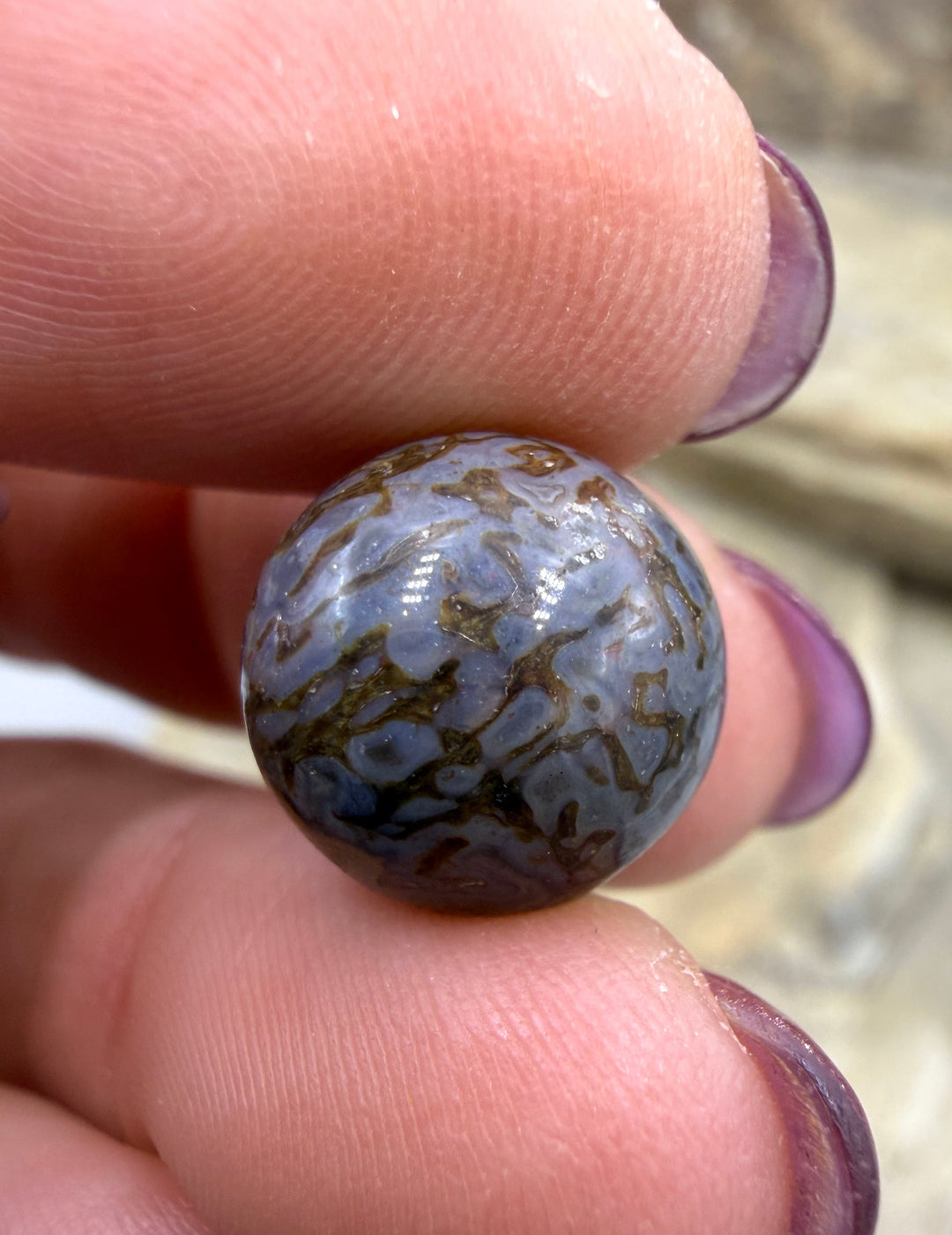 RARE AAA+ High Pattern Utah Dinosaur Bone 12mm Round Bead