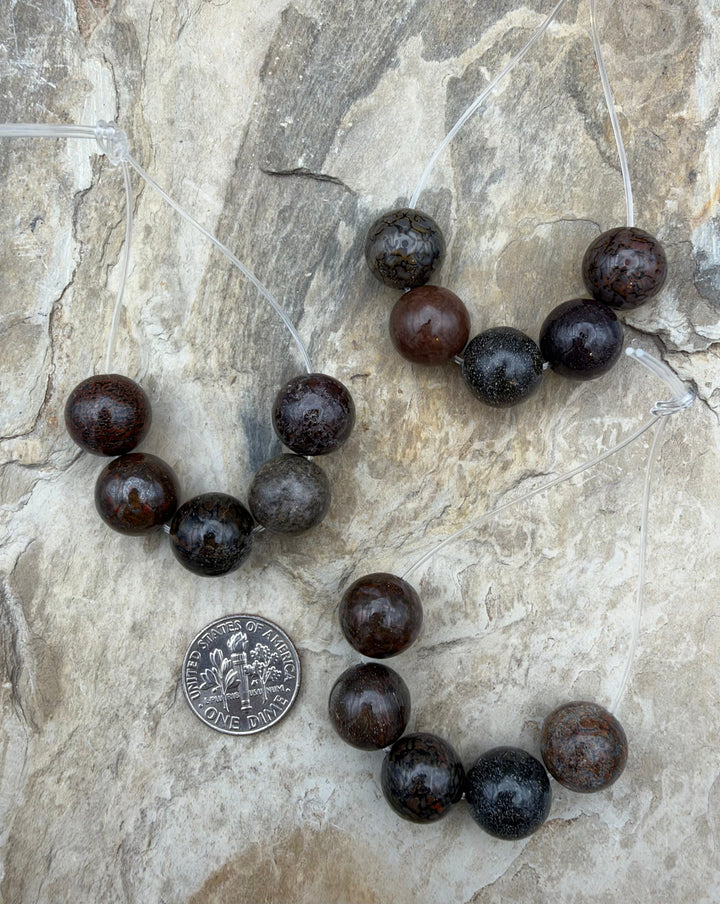 RARE AAA+ High Pattern Utah Dinosaur Bone 12mm Round Beads