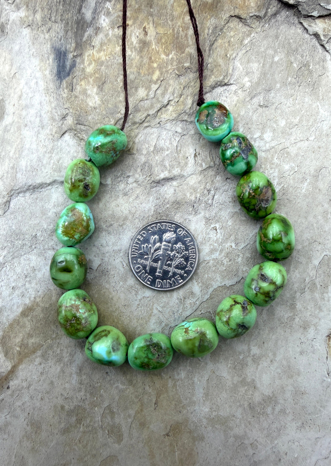 RARE AAA+ Sonoran Gold Turquoise (Mex) BIG 10mm Smooth