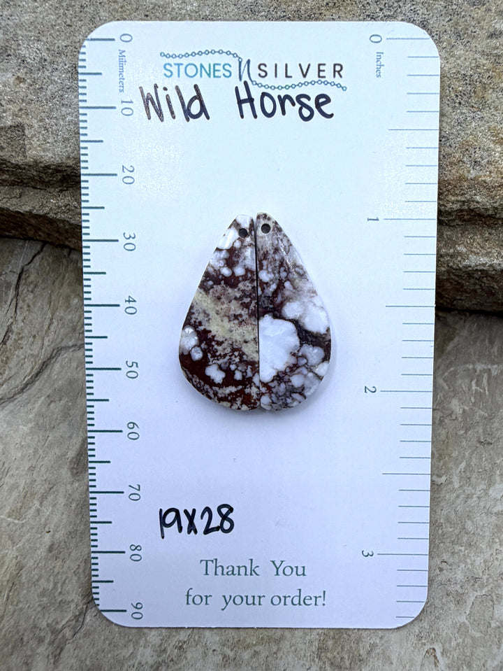 RARE Arizona Wild Horse BIG Matching Earring Slab Bead Pair