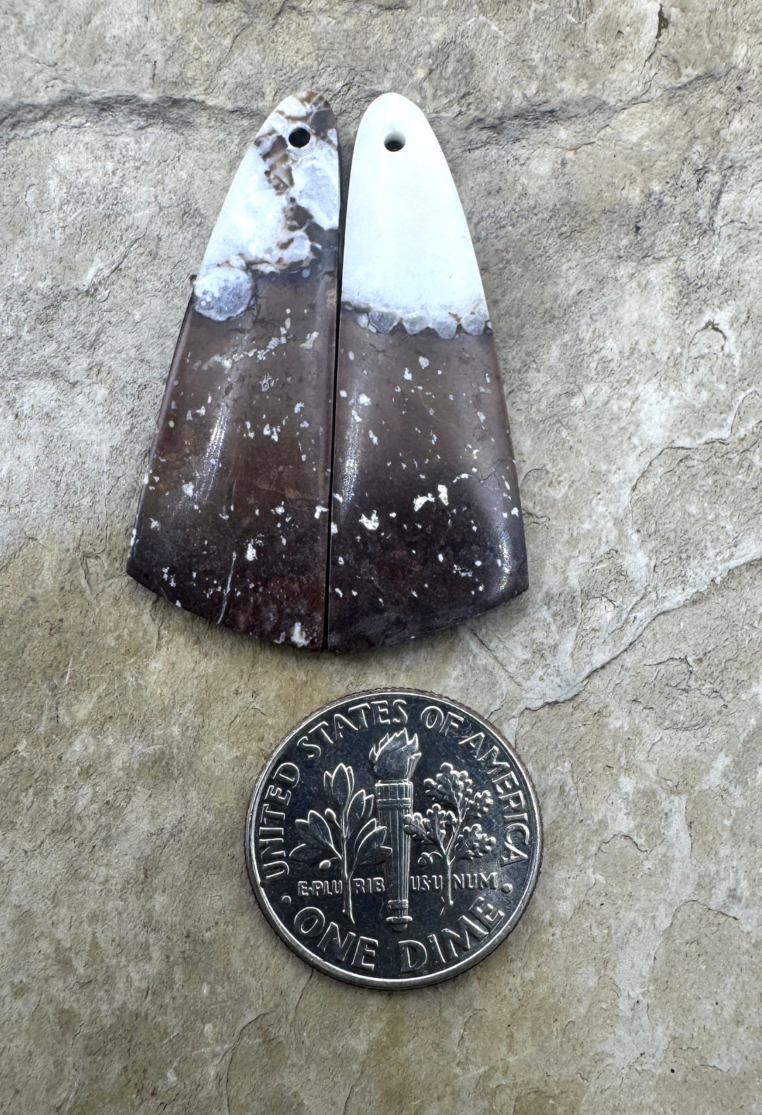 RARE Arizona Wild Horse Earring Slab Bead Pair 12x34mm