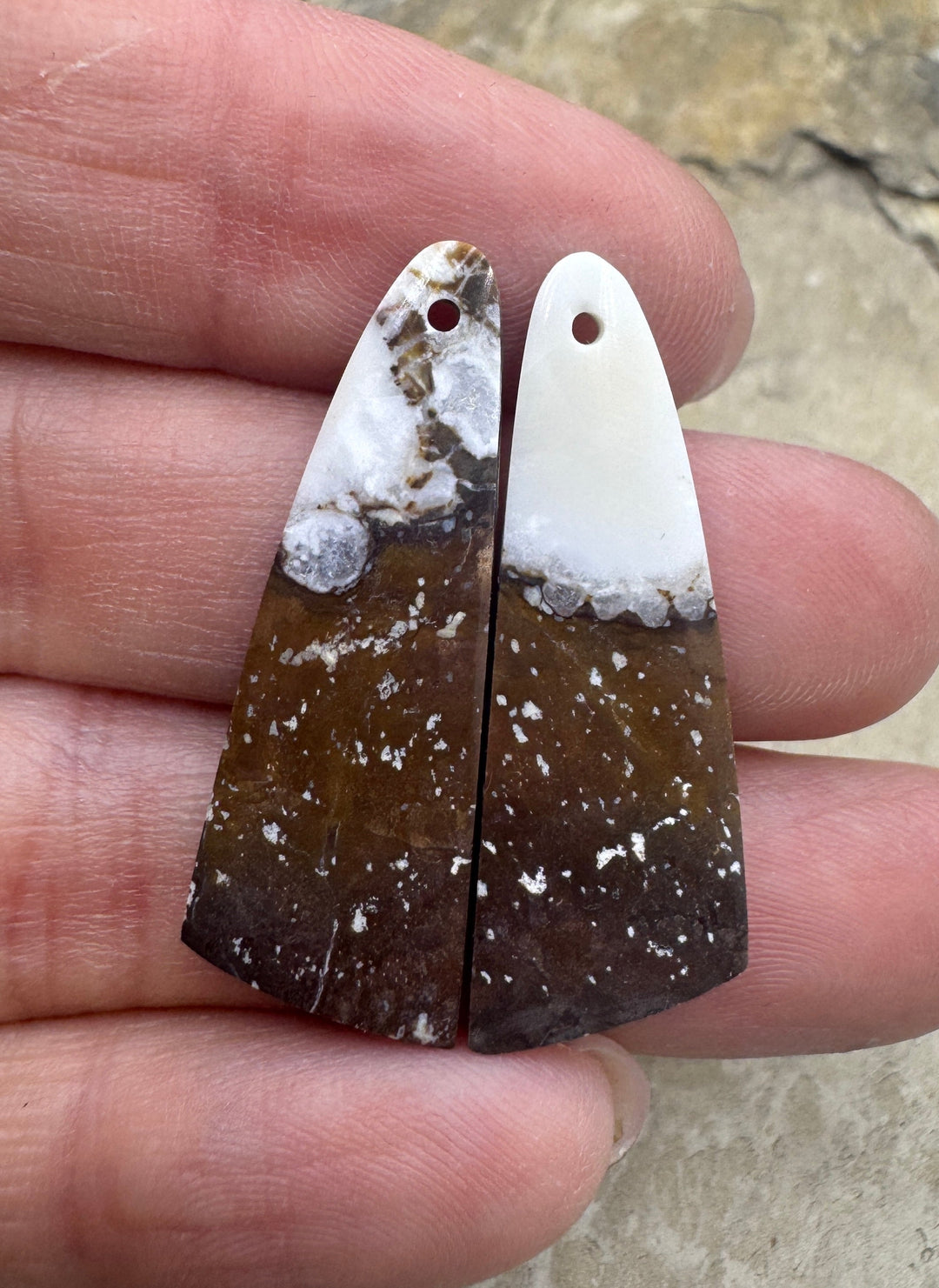 RARE Arizona Wild Horse Earring Slab Bead Pair 12x34mm