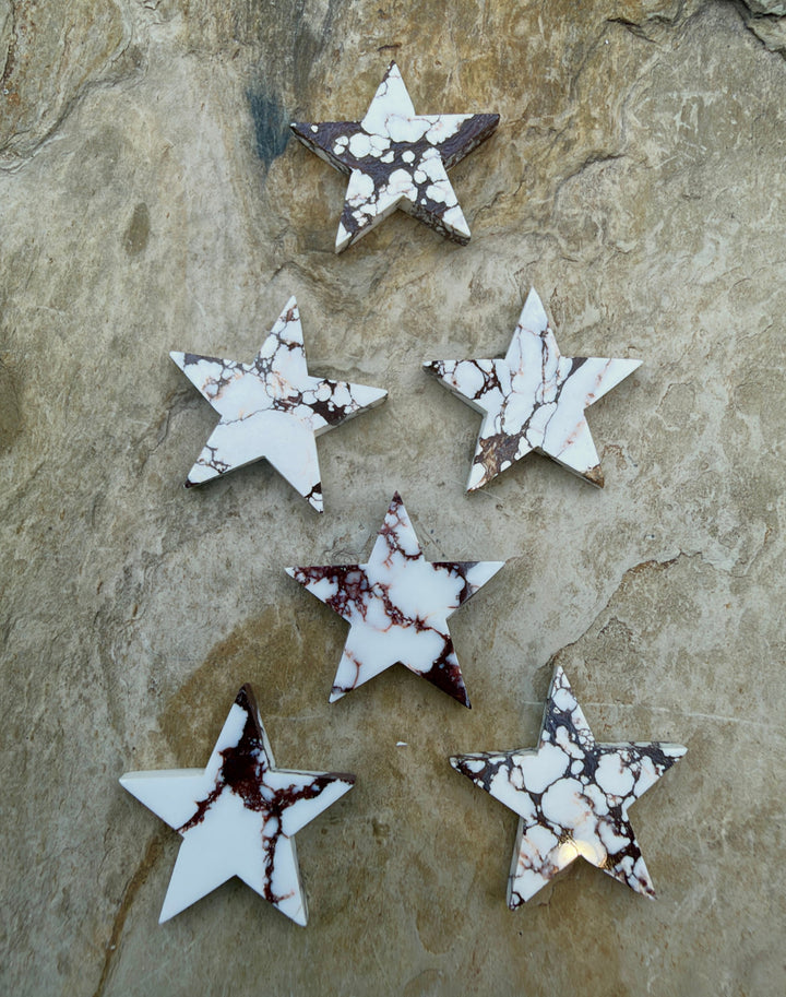 RARE Arizona Wild Horse Handcut Star Shaped Focal Pendant