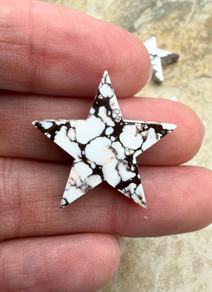 RARE Arizona Wild Horse Handcut Star Shaped Focal Pendant