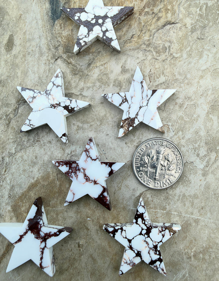 RARE Arizona Wild Horse Handcut Star Shaped Focal Pendant