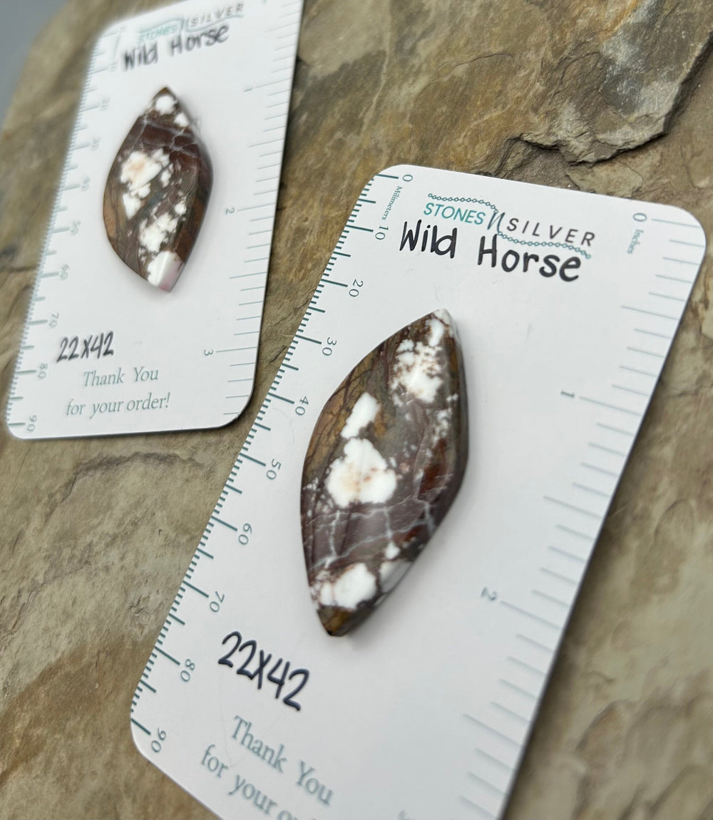 RARE Arizona Wild Horse Matching Cabochon Pair 22x42mm