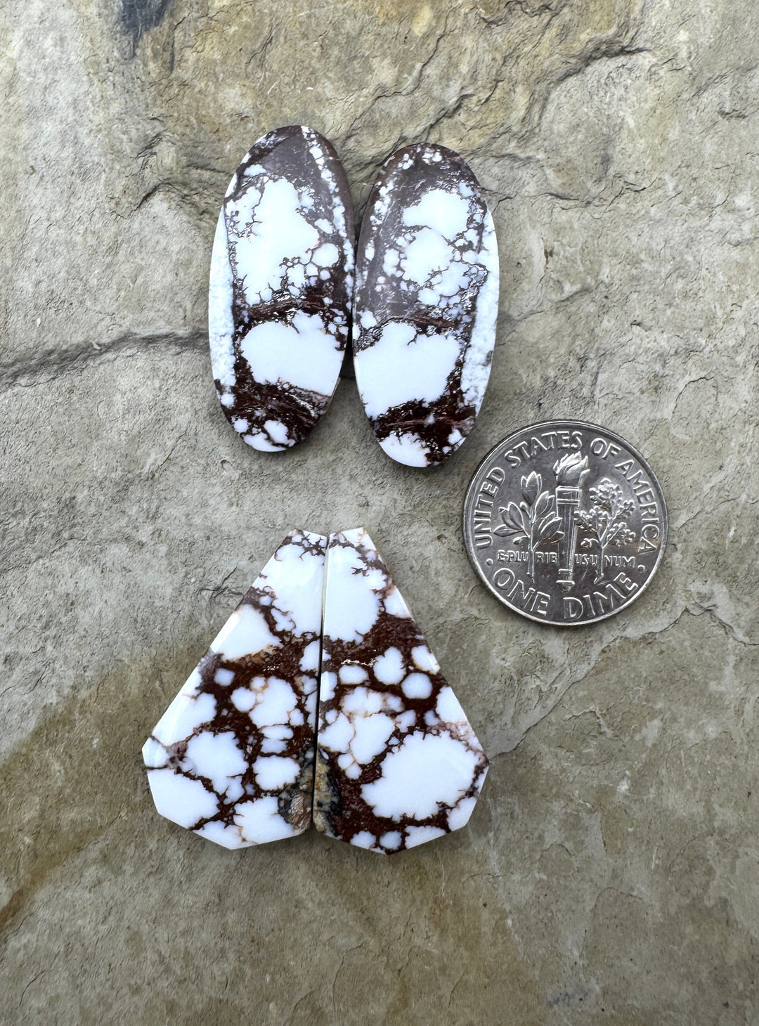 RARE Arizona Wild Horse Matching Earring Cabochon Pair