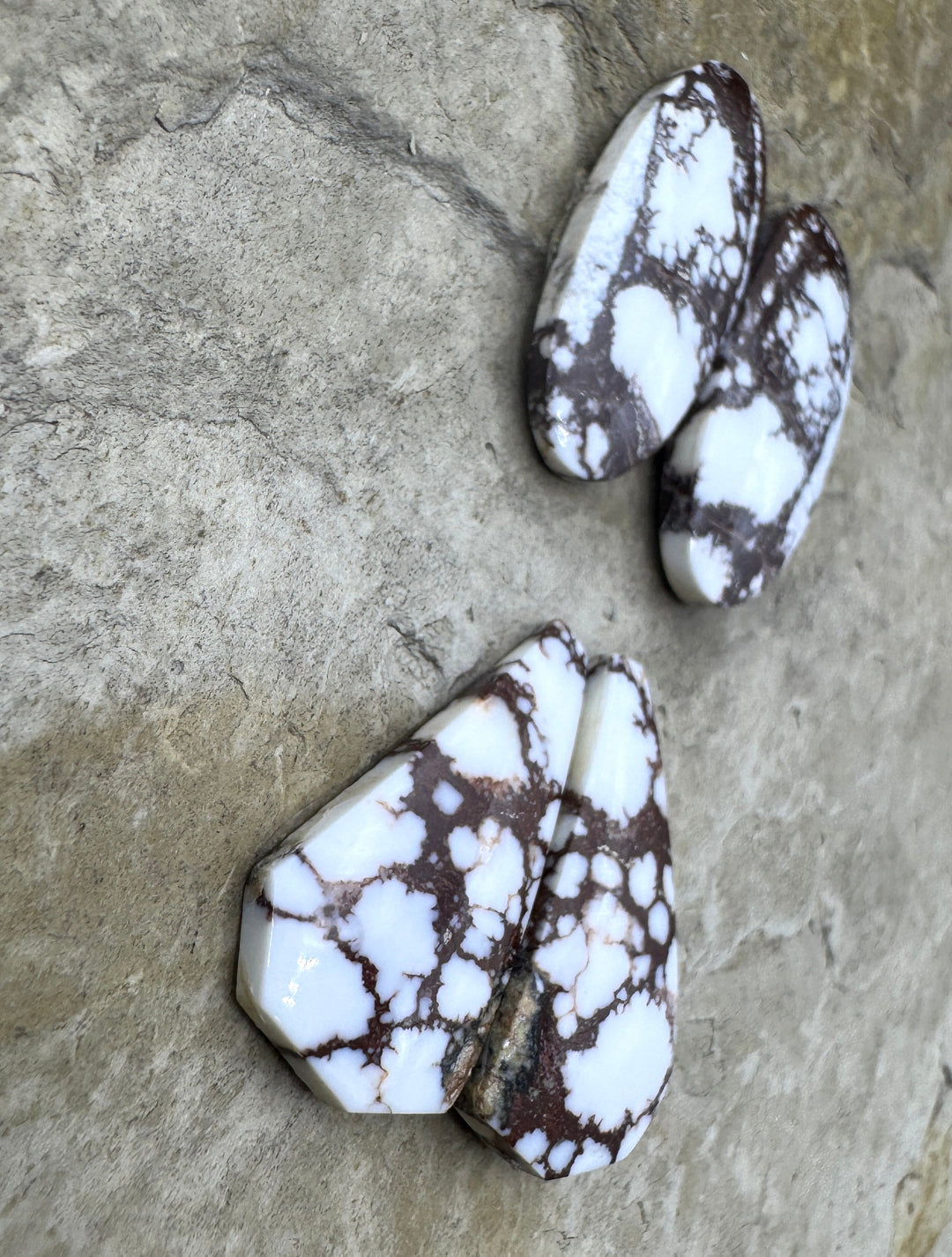 RARE Arizona Wild Horse Matching Earring Cabochon Pair