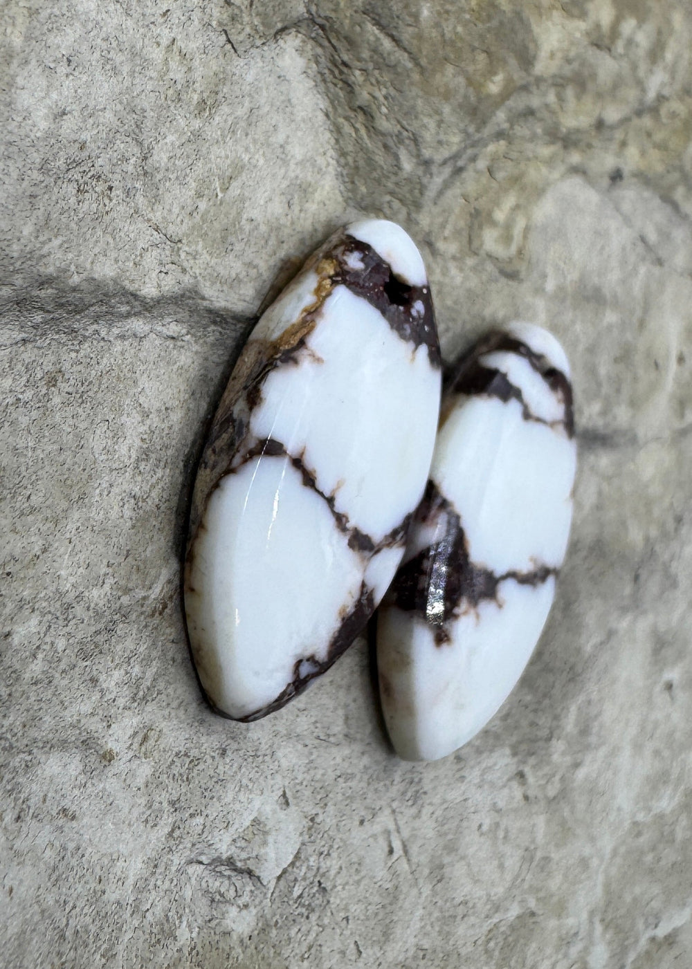 RARE Arizona Wild Horse Matching Earring Slab Bead Pair