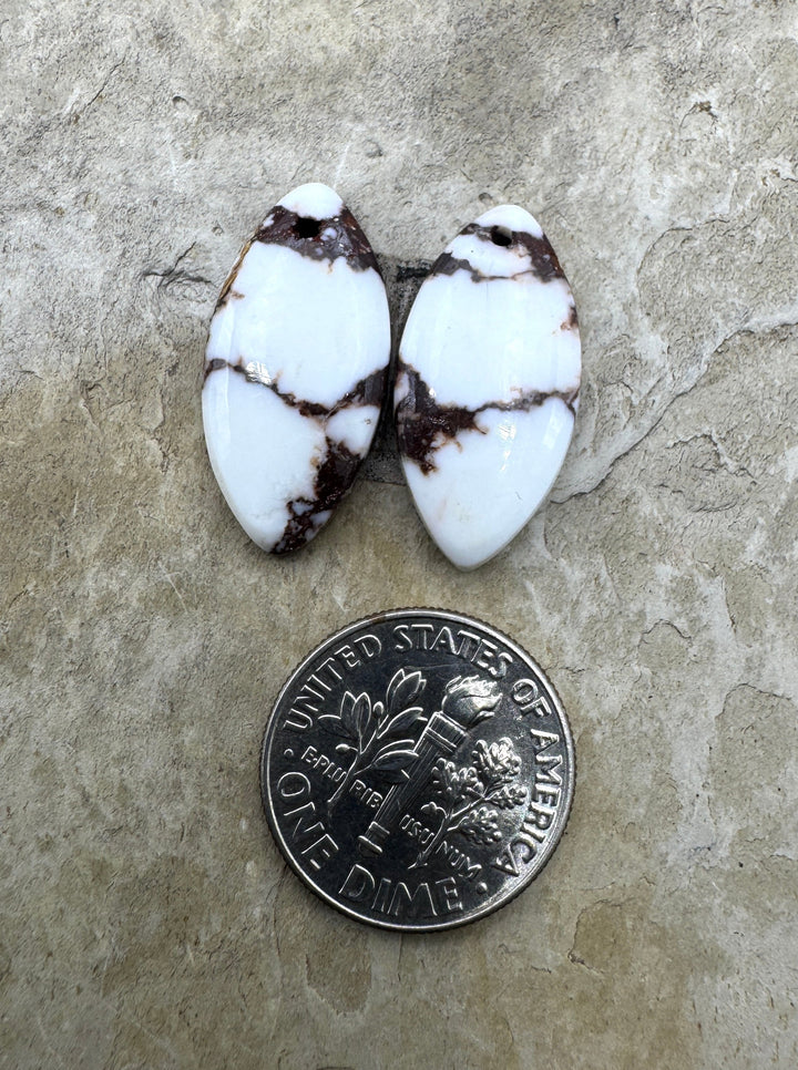 RARE Arizona Wild Horse Matching Earring Slab Bead Pair
