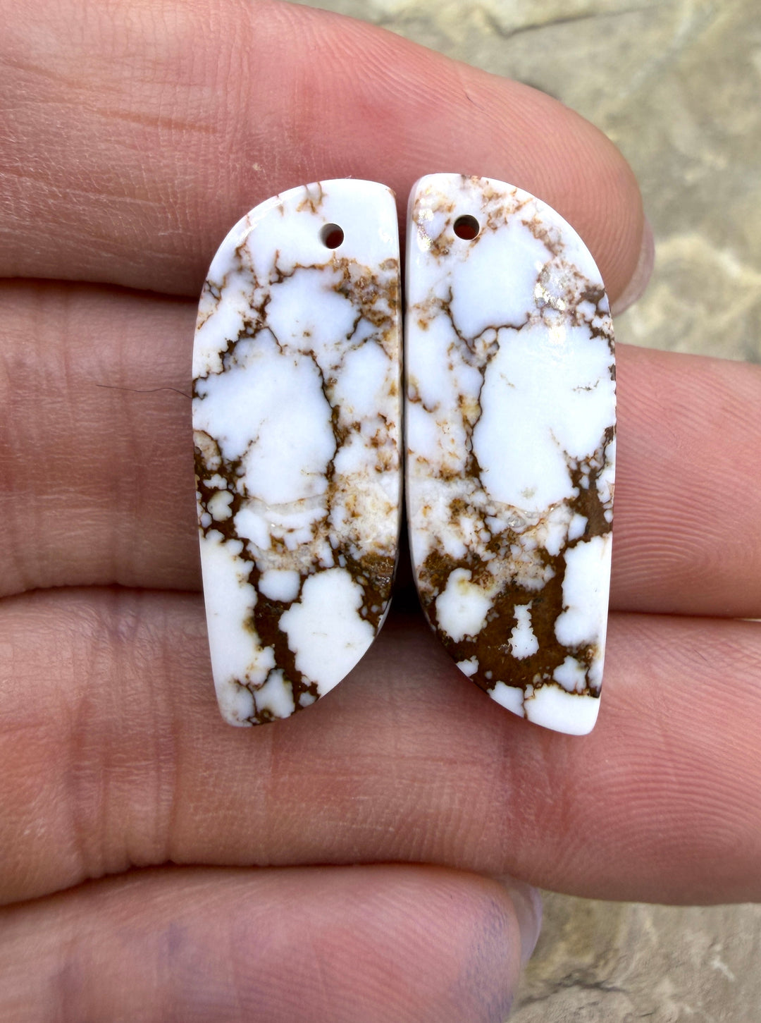 RARE Arizona Wild Horse Matching Earring Slab Bead Pair