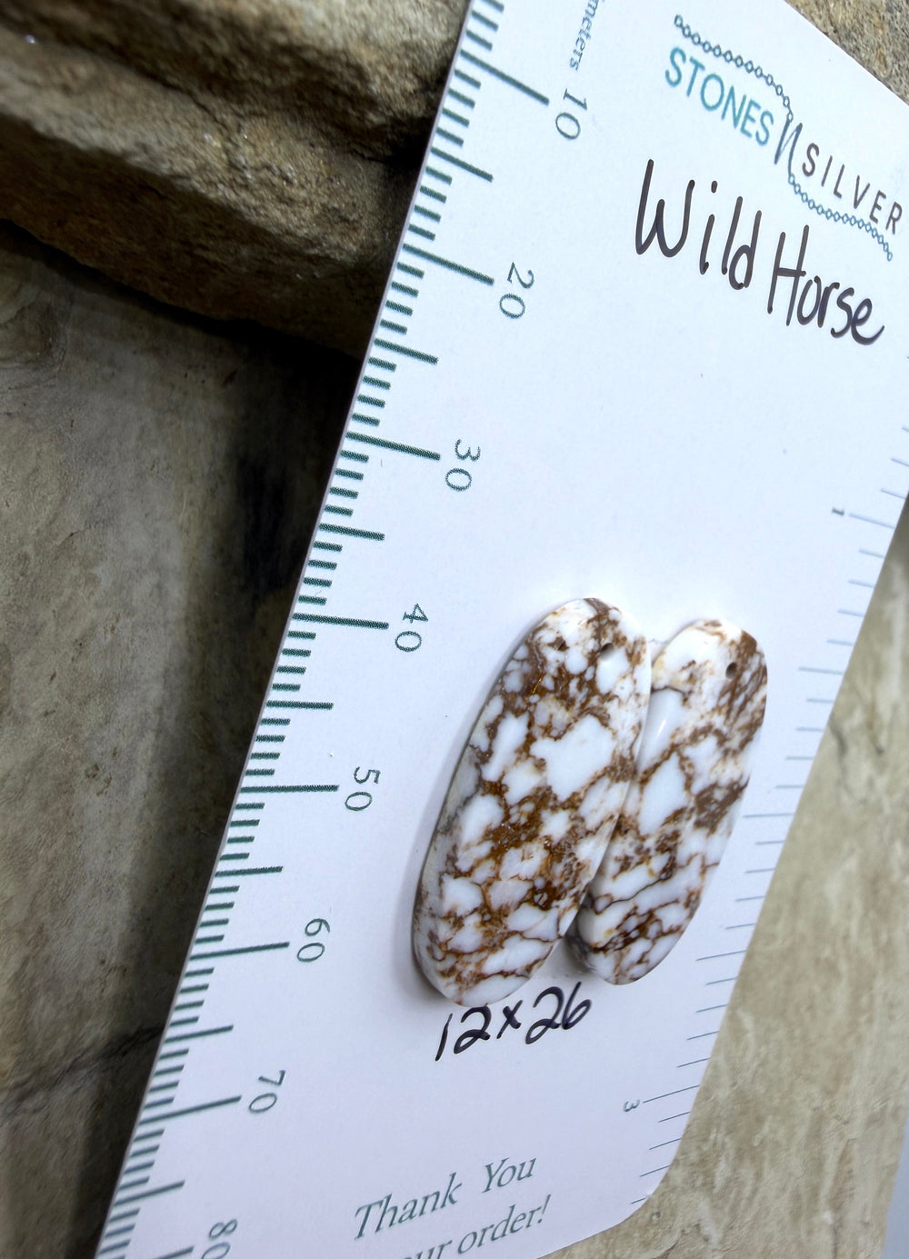 RARE Arizona Wild Horse Matching Earring Slab Bead Pair