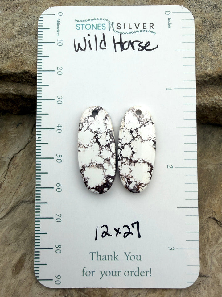 RARE Arizona Wild Horse Matching Earring Slab Bead Pair