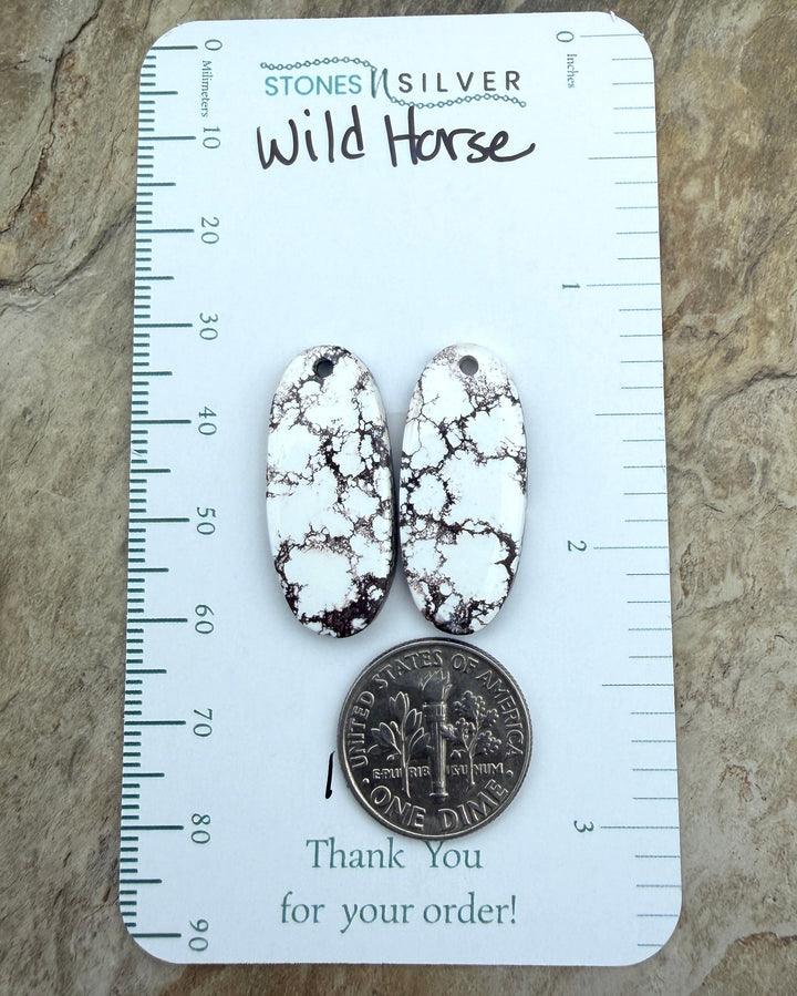 RARE Arizona Wild Horse Matching Earring Slab Bead Pair