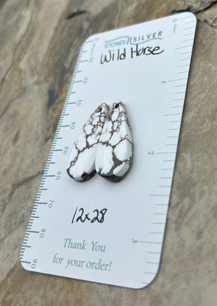 RARE Arizona Wild Horse Matching Earring Slab Bead Pair