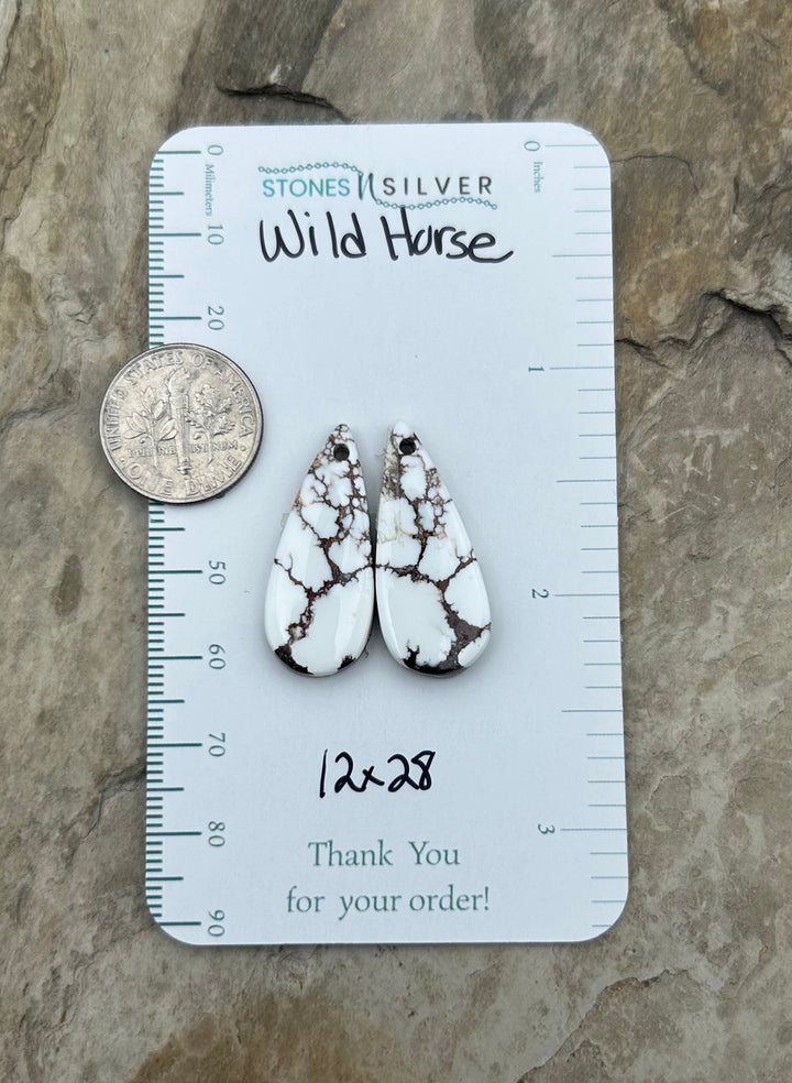RARE Arizona Wild Horse Matching Earring Slab Bead Pair