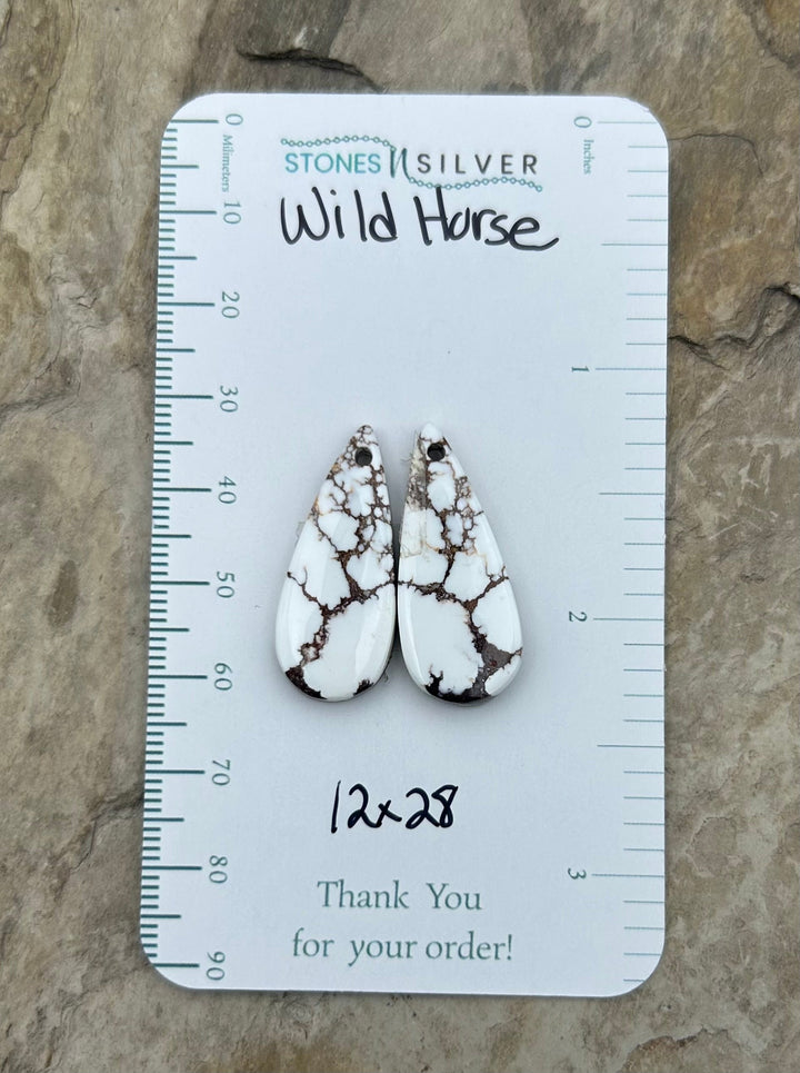 RARE Arizona Wild Horse Matching Earring Slab Bead Pair